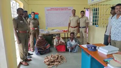 Three arrested; sandalwood logs seized in Vellore, Tirupattur