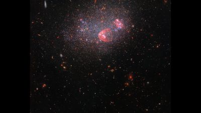 Space photo of the week: Hubble spies a dwarf galaxy