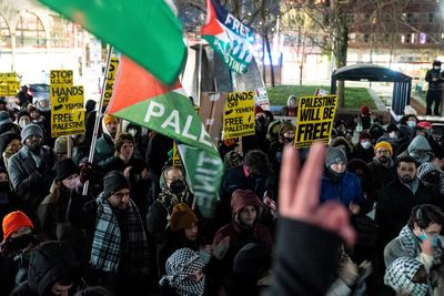 Gaza Deaths and Protests Demand Ceasefire in Washington