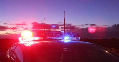 Woman flees after sports car crashes, erupts in flames