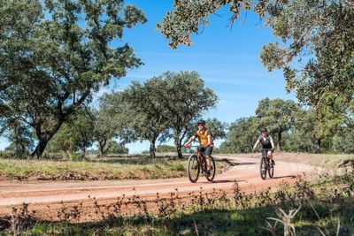 Bucket list bike trips: From coastal pedals to off-road trails, where to saddle up in the Algarve