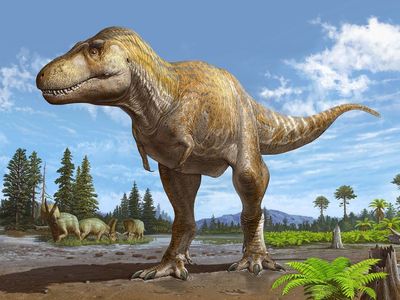 An old relative of the T. rex sparks new questions about the dinosaur's origins