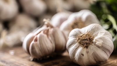Types of garlic to plant in spring – 6 of the best varieties to consider