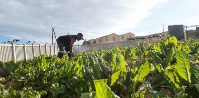 Healthy food is hard to come by in Cape Town’s poorer areas: how community gardens can fix that