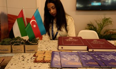 Azerbaijan appoints no women to 28-member Cop29 climate committee
