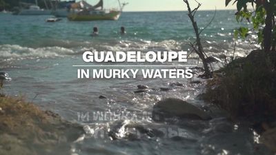 Guadeloupe in murky waters: French islands hit by wastewater treatment scandal
