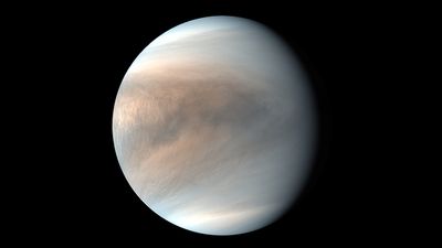 No alien life needed: Dark streaks in Venus' atmosphere can be explained by iron minerals
