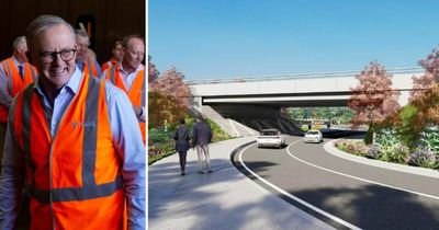 Anthony Albanese to check on M1 extension work