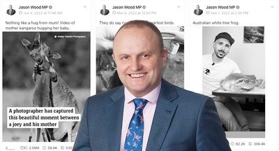 A federal MP is stealing cute animal videos to grow his Facebook audience