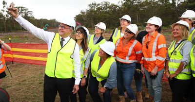 Albo says M1 extension to Raymond Terrace will boost national productivity