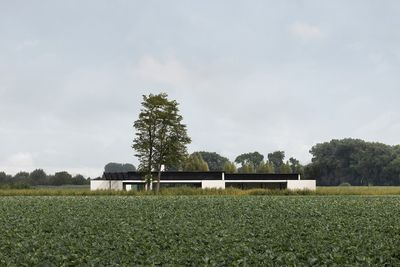 A Belgian house in the fields blends subtle minimalism with family life