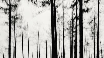 “I couldn’t return empty-handed, so I started to experiment with intentional camera movement (ICM), albeit reluctantly ”