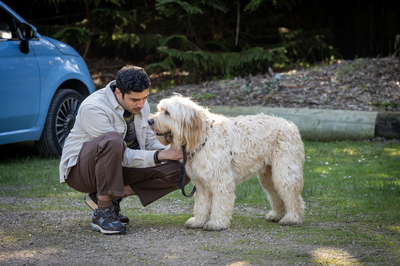 Neighbours spoilers: Will Haz say GOODBYE to Trevor the dog?