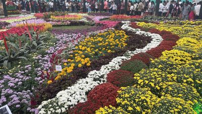 Republic Day flower show at Lalbagh from January 18-28