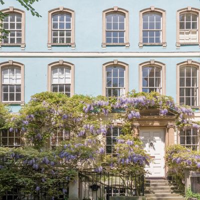 When to winter prune wisteria for stronger, brighter blooms