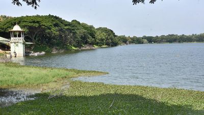 Canal restoration can augment freshwater flow to Kukkarahalli lake says: Report