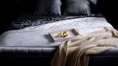 The Luxome Luxury Sheet Set earns my hot sleeper seal of approval