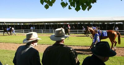 Hunter Valley horse stud tops Magic Millions sales with $2.1m filly