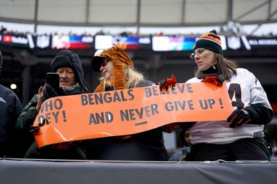 Bengals Twitter reacts to ugly playoff losses for Browns, Steelers