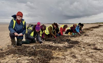 The nurdle hunters: is combing UK beaches for tiny bits of plastic a waste of time?