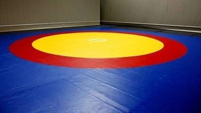 Only National Wrestling Championship organised by us will be genuine: IOA ad-hoc panel