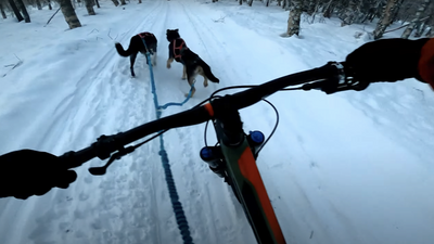 Forget horsepower – watch mountain biker opt for dog power in the snow