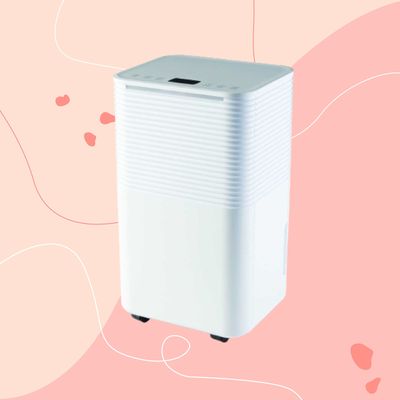 Aldi is selling a dehumidifier – and we predict its budget price will make it a sellout