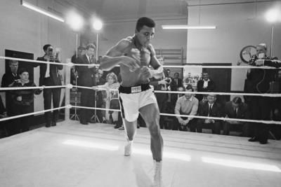 Celebrating the Undying Legacy of Muhammad Ali: Boxing Royalty Honored