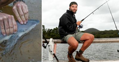 Meet the man tracking bull sharks in every creek and river on the east coast