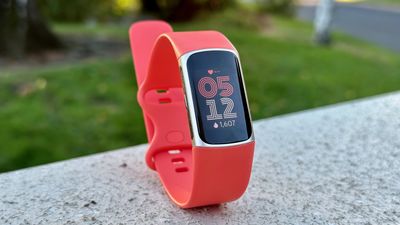 You can help Google with its latest Fitbit study on metabolic health