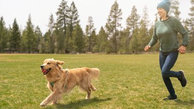 Here’s how to give your reactive or aggressive dog the exercise they need, while avoiding the dog park
