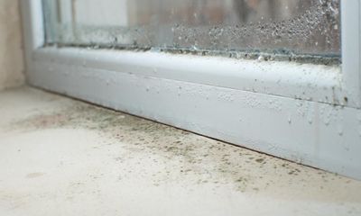 UK asylum seekers: are you affected by damp and mould in your accommodation?