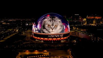 Apple turns Las Vegas Sphere into world's largest cat bubble backpack to celebrate one of its biggest movies of 2024 — Henry Caville and Bryce Dallas Howard star in Aryglle debuting February 2