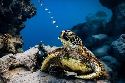 Winning Breathtaking Nature Photos Revealed By Tokyo International Foto Awards 2023 (20 Pics)