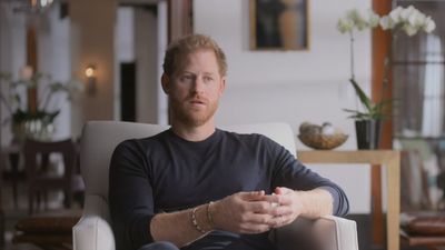 Royal Expert Reveals Why He Thinks Prince Harry Was 'Dissing' Prince William In His Netflix Docuseries Harry & Meghan