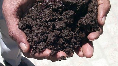 Urgent need to inculcate soil restoration and climate-resilient practices: Report