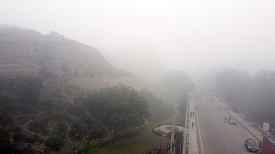 Dense fog over north India disrupts travel