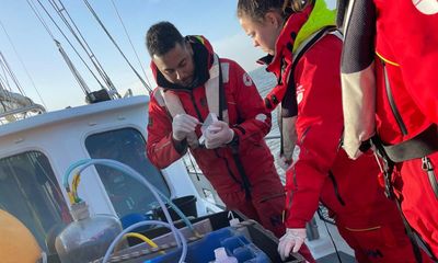 Social enterprise offers young people paid opportunity to protect UK oceans