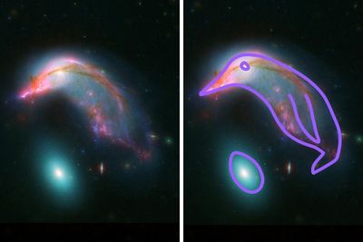 “NASA Has A Sense Of Humor”: New NASA Photos Reveal Adorable Galaxies