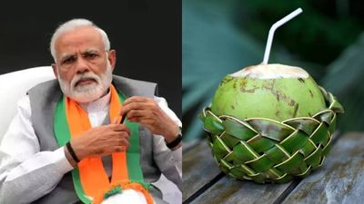 PM Modi on a coconut water diet for Pran Pratishtha: Know the impact of this diet on body