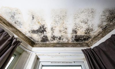 Mouldy homes: is it time for Cathy You Can’t Come Home Yet?