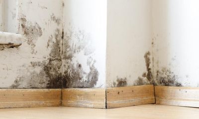 Councils in England inspect only half of all mould reports in private rental housing