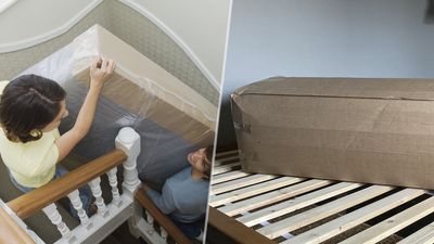 Bed in a box mattress vs traditional mattress: which is better?