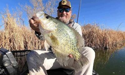 Colorado angler lands giant crappie, settles for release record