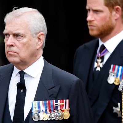 Palace Makes Under-the-Radar Move to Ensure Prince Andrew and Prince Harry Are Barred from Ever Standing In for King Charles