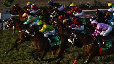 Mumbai Races: Chamonix fancied for feature