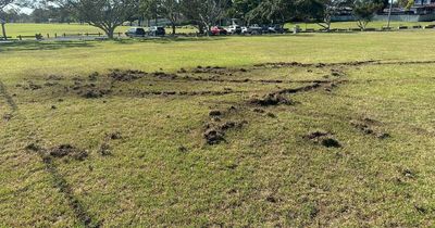 'Some flogs think it's good fun': vandalism at sports grounds