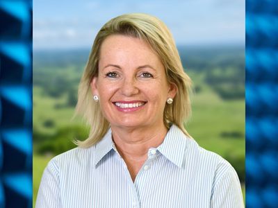 Energy and skills top industry list of concerns: Sussan Ley