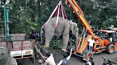 CRAR, FIAPO term capture and relocation of elephants in Hassan ‘unscientific’ and ‘ineffective’