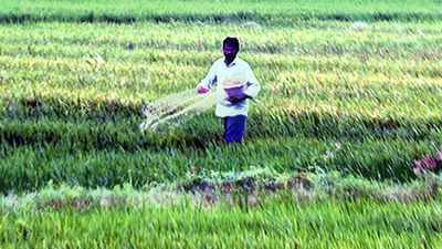 Rights organisations decry suspension of funds allocated for paddy procurement in West Bengal